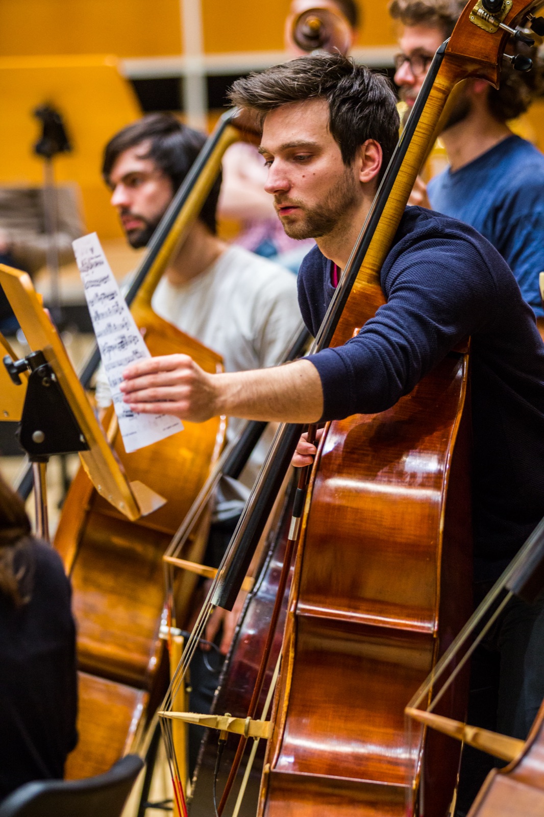Fabian bei einer Orchesterprobe am Kontrabass